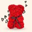 Medvídek z růží 25 cm - červený