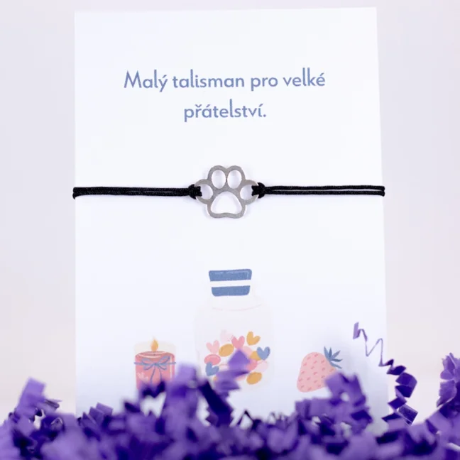 Strieborný šnúrkový náramok - PSIA TLAPKA